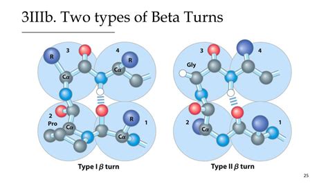 beta turn|Extension of the classical classification of β.